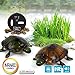 Kids Toy Remote Control Pet Simulation Turtle Halloween Christmas Party Gifts For Kids
