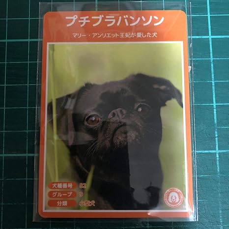 Amazon 犬種図鑑カード No 109 プチブラバンソン アニメ 萌えグッズ 通販