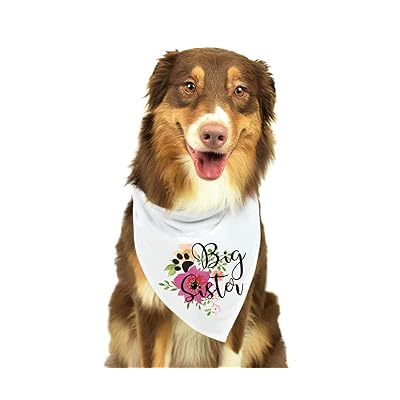 KEVIN-KW Big Sister Dog Bandana, Pregnancy Zambia Ubuy