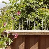 Defender Bird Spikes Narrow Plastic Pigeon Deterrent 5 Metre Pack view 7