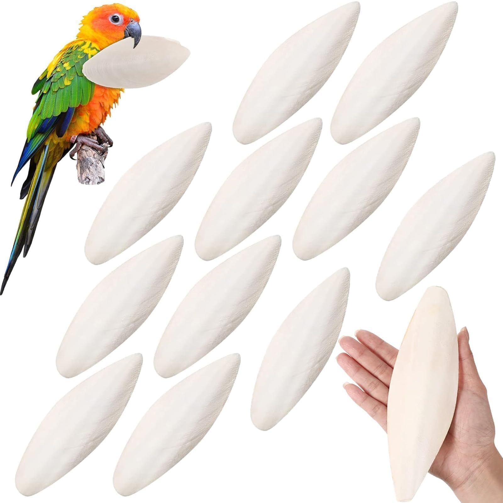 KPSRFG 11Pcs Cuttlefish for Birds, Cuttlefish Bone for Birds and Tortoises, Natural Cuttlebone Chew Toys for Parrots, Reptiles, Snails and Turtles, Calcium Supplement for Beak and Teeth Maintenance
