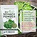 Biofinest Spinach Powder - 100% Pure Freeze-Dried Antioxidants Superfood - USDA Organic Vegan Raw Non-GMO - Boost Digestion Detox Immune System - For Smoothie Beverage Blend (4 oz Resealable Bag)