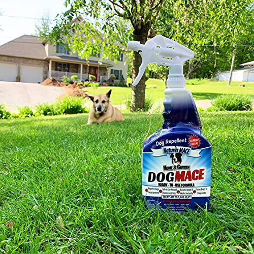 Nature's Mace Dog Repellent 40oz Spray/Treats 1,000 Sq. Ft. / Keep Dogs