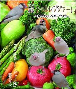 Amazon Co Jp 文鳥戦隊 トゥルレンジャー 鳥写真カレンダー12 蚊取り犬 文房具 オフィス用品 Amazon Co Jp 文鳥戦隊 トゥルレンジャー 鳥写真カレンダー12 蚊取り犬 文房具 オフィス用品