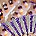 Extra Large Rock Candy Sticks: 48 Silver Rock Candy Sticks - Original Flavor - Individually Wrapped for Party Favors, Candy Buffet, Showers, Receptions, Old Fashioned Espeez Bulk Candy on a Stick