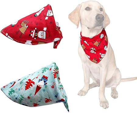 amazon dog christmas