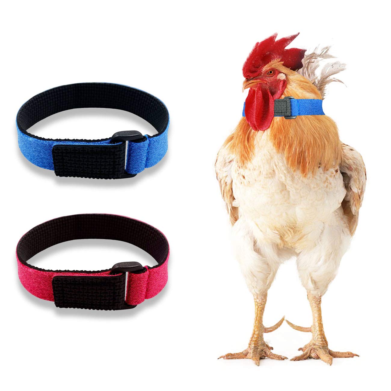 GABraden 2 Pack Anti Crow Rooster Collar No Crow Noise Neck Belt for