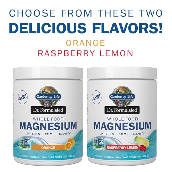 GARDEN OF LIFE DR. FORMULATED WHOLE FOOD MAGNESIUM POWDER WITH PROBIOTICS – STRESS & SLEEP SUPPORT, NON-GMO, GLUTEN-FREE, VEGAN, RASPBERRY LEMON FLAVOR, 85 SERVINGS