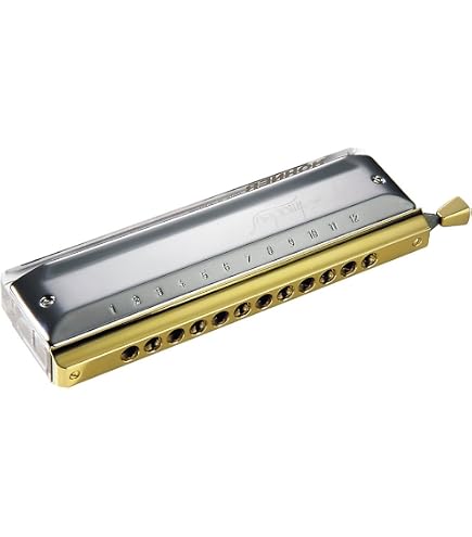 Amazon.com: Hohner 7565 Chromatic Meisterklasse, Key of C