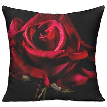 Amazon Com Wqbzl Darkness Pink Red Rose Fashion Decorative Throw