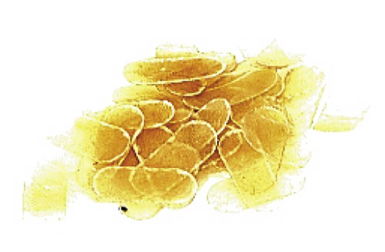 GEWA Violin Bridge Protector Bag of 40 Parchment Base Pads