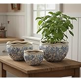 Galt International Ceramic Plant Pots Set of 3 Rustic Vintage Farmhouse Cream Crackle Glaze (11"/ 9.6"/ 7") Garden Indoor Out