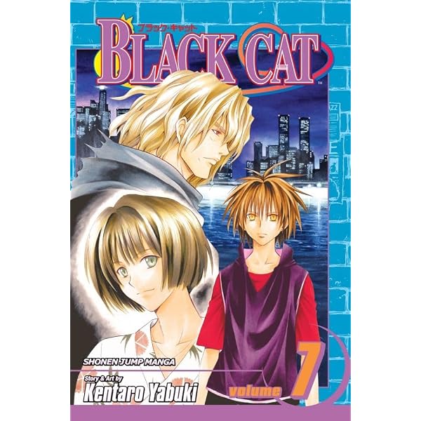 Black Cat, Vol. 9: Showdown at the Old Castle (English Edition