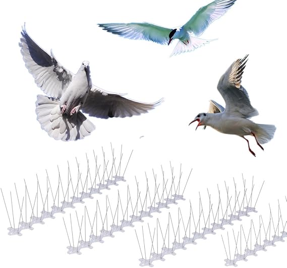 Skycabin Pack de 10 pinchos para ahuyentar pájaros Pinchos para ...