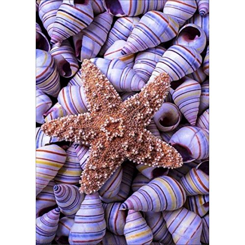 Norbi Painting With Diamonds, Seashells & Starfish Embroidery Diamond by Number Kits Rhinestone Painting Cross Stitch Kit Wall Art Decor for Kids Adult Beginner