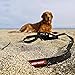 EzyDog Track and Train Leash, Black