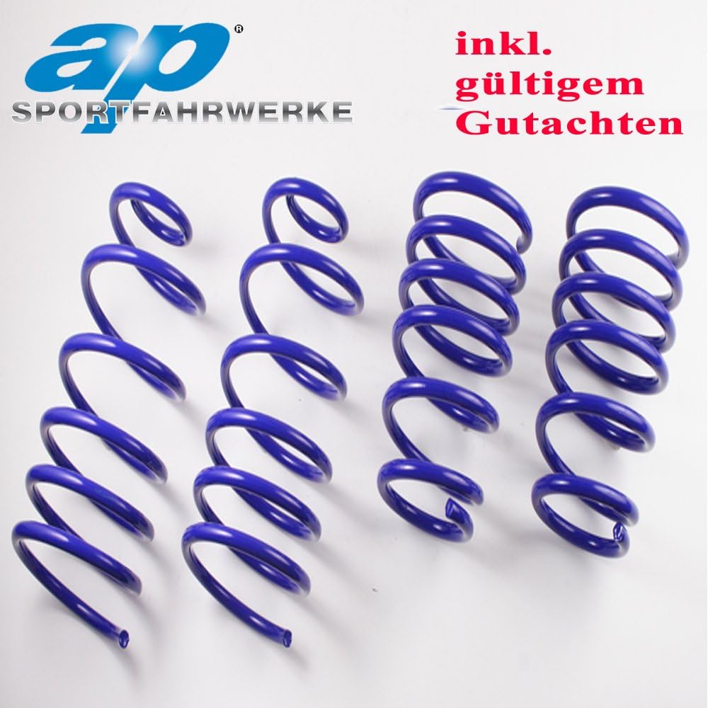 AP Springs Lowering Springs 40/40 FS65 008