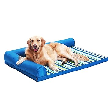 cama perro amazon