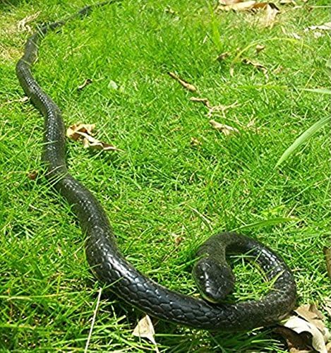 Aurktech Scary Lifelike Snake Toy - Green Snake