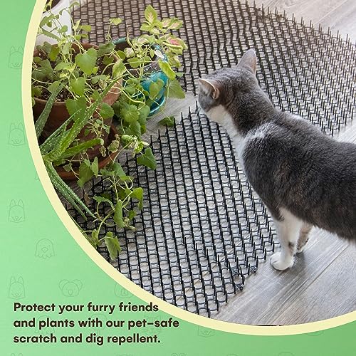 How to Keep Cats from Scratching Outdoor Furniture: Easy Tips