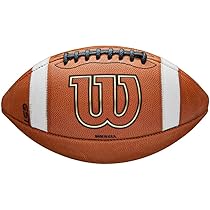 Amazon.com : WILSON GST Leather Game Football - Official