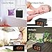 FM Radio Portable Wireless Bluetooth Speaker 8W Waterproof/Shower/Outdoor with Alarm Clock MP3 Player Hands Free Phone Calling Mic, Micro SD TF Slot, External Wire Antenna
