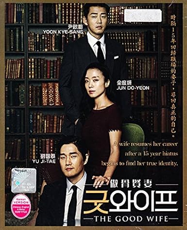 The Good Wife English Chinese Sub Available Korean Drama 4 Dvd Set Jun Do Yeon Yoo Ji Tae Yoon Kye Sang Kim Seo Hyung Lee Won Geun Kim Tae Woo Movies Tv Amazon Com