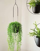 Beihaoer Metal Boho Hanging Planter for Indoor Plants - Black view 5
