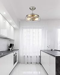 EAPUDUN Semi Flush Mount Ceiling Light, 2-Light