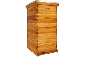 Honey Lake 10 Frame Bee Hive Dipped in Beeswax, Langstroth Complete Beehives Starter Kit Includes 2 Deep Brood Box and 2 Medium Super Box with Beehive Frames and Waxed Foundation Sheet