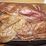 SunGrow Shrimp Leaves, 7-9 Inches, Provide Shelter and Food, Additional Source of Nutrition, Perfect for Breeding & Hiding, Beautiful, Sun-Baked Catappa Leaves