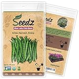 CERTIFIED ORGANIC SEEDS (Appr. 100) - Blue Lake Pole Bean - Bean Seeds, Open Pollinated - Non GMO, Non Hybrid Vegetable Seeds - USA