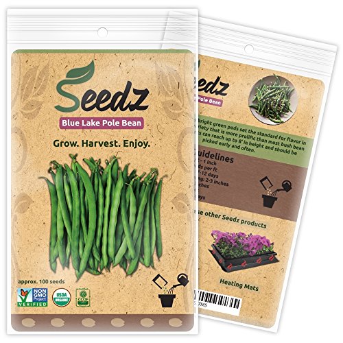 CERTIFIED ORGANIC SEEDS (Appr. 100) - Blue Lake Pole Bean - Bean Seeds, Open Pollinated - Non GMO, Non Hybrid Vegetable Seeds - USA CERTIFIED ORGANIC SEEDS (Appr. 100) - Blue Lake Pole Bean - Bean Seeds, Open Pollinated - Non GMO, Non Hybrid Vegetable Seeds - USA