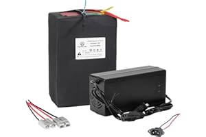 BtrPower 36V 48V 52V 60V 72V Ebike Battery 10AH 20AH 30AH 40AH 50AH 60AH LiFePO4/Lithium Ion Battery Pack with 2A 3A 5A Charger and 20A 40A 50A 80A BMS for 250W 550W 750W 1000W-5500W Motor