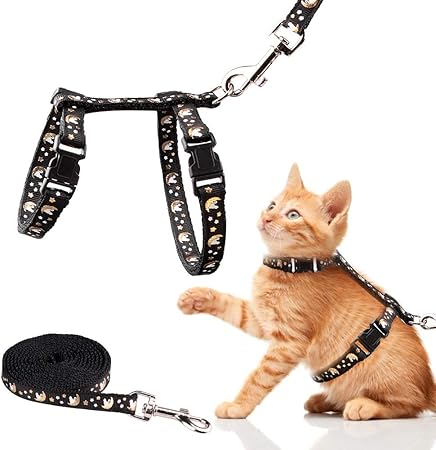 amazon cat leash