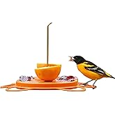 Birds Choice Oriolefest Oriole Feeder for Jelly, Oranges &amp; Nectar | Orange | 4 Feeding Ports and Trays with Ant Moat and Bee Guards, 12oz Capacity, Sturdy Design for Backyards