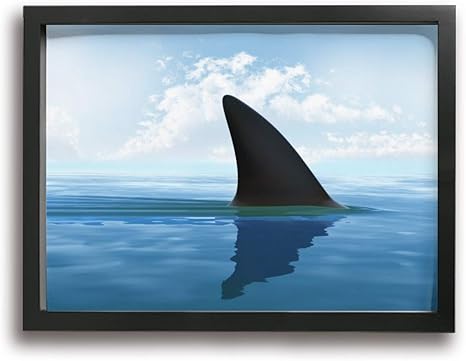 Amazon Co Jp Ale Art サメ アートパネル 30cm 40cm ポスター 絵画 壁掛け インテリア 風景 キャンバス絵画 バスルーム ダイニングルーム 装飾 ホーム キッチン