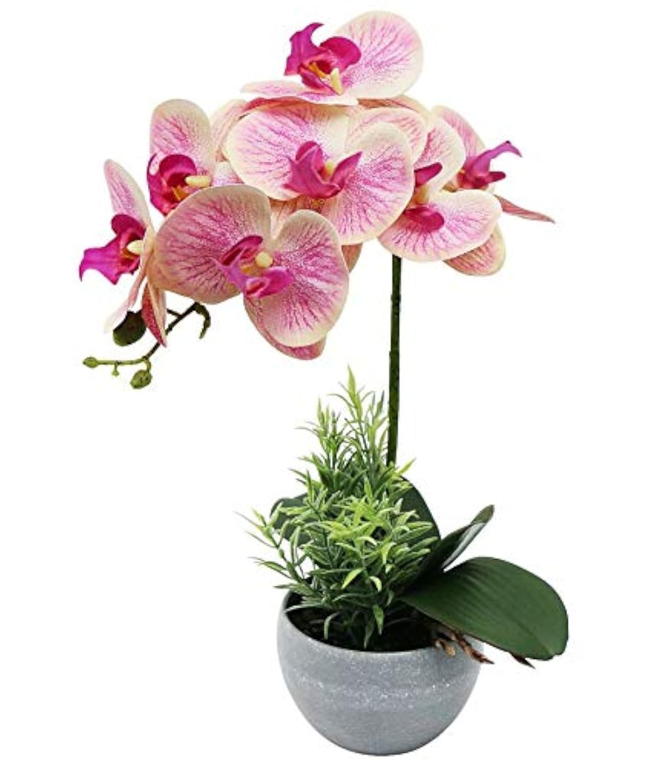 Olrla Pink Artificial Orchid Flower and Plant in Grey Pot, Waterproof Butterfly Orchid for Table Centerpieces Office Bathroom Garden Decor