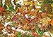 Heye Puzzles - Triangular , 1500 Pc - Funny Farm, Ryba