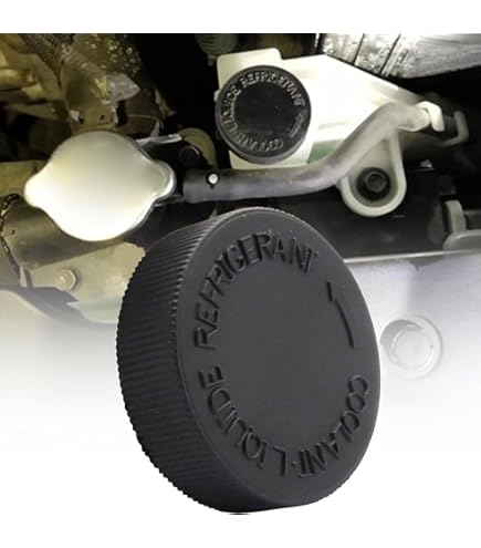 Amazon.com: Radiator Coolant Reservoir Expansion Tank