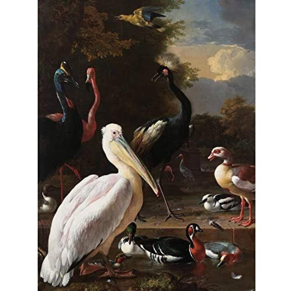 Artery8 Hondecoeter Pelican Birds Pool Floating Feather Art Print Canvas Premium Wall Decor Poster Mural