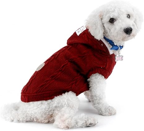 Smalllee Lucky Store Pull A Capuche Rembourre Gilet Manteau Pour Temps Froid Chihuahua Capuche Chien Chat Manteau D Hiver Vetements Pour Chiens De Petite Taille Chaud Rouge M Amazon Fr Animalerie