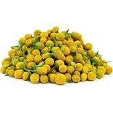 Buzz Button Flowers 50 Pack Cocktail Garnish, Mixology, Culinary Sensation, Tingling Mouthfeel (50)