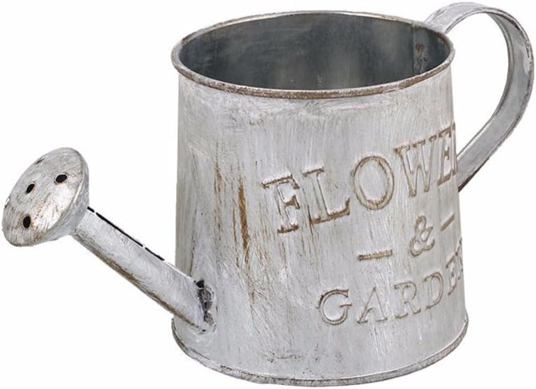 Keersi Vintage Metal Flower Pot, Small Handicraft Watering Can, Succulent Planter Metal Plant Bucket Bonsai Pot Vertical…