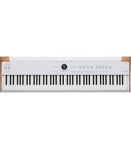 Amazon.com: Arturia AstroLab 61-key Stage Keyboard with On-Stage