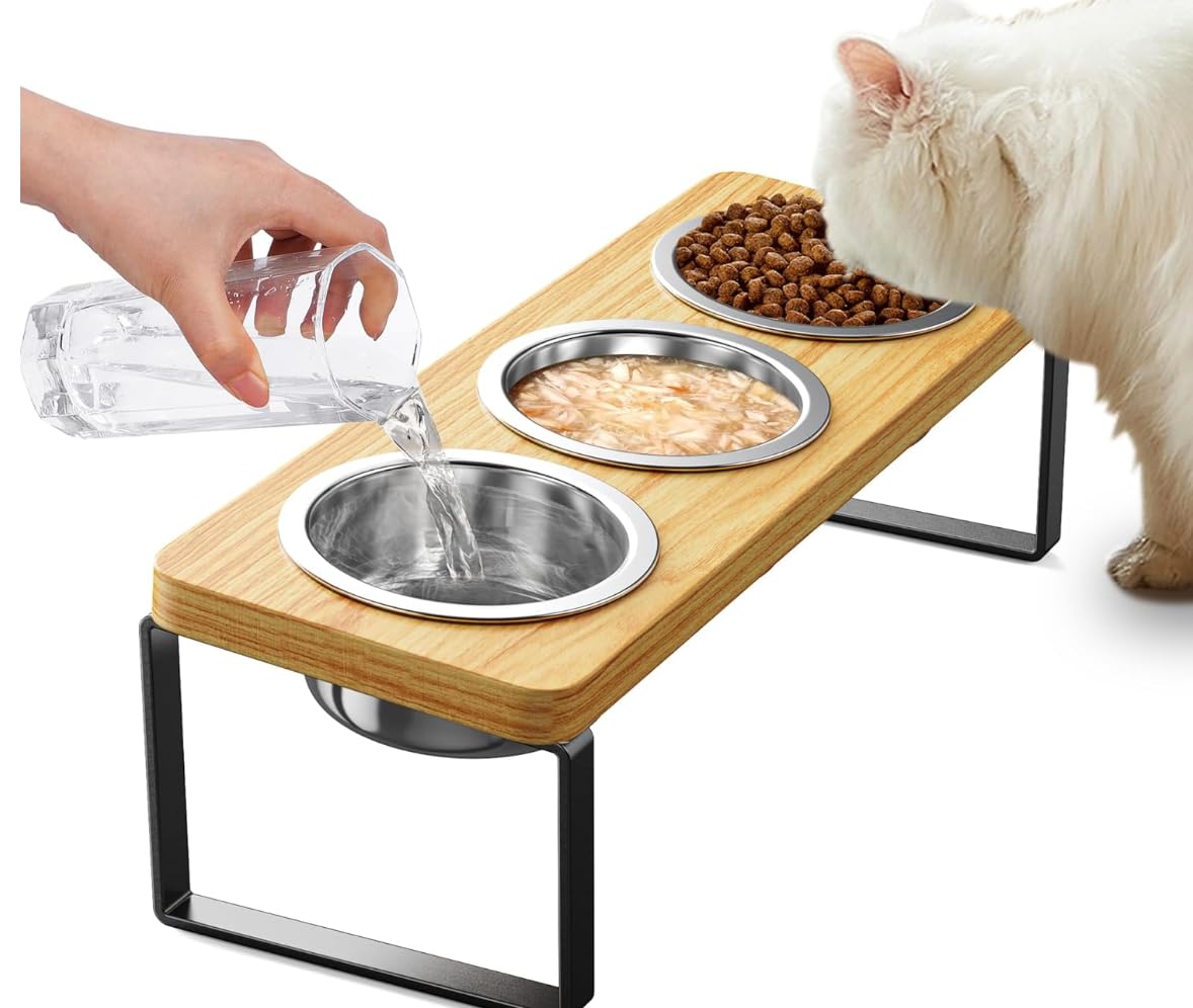 2 Pack Elevated Cat Bowls with 3 Stainless Steel Bowls | 10° Tilted Anti-Vomiting Raised Cat Food Bowl for Small Cats and Puppies Pet Bowl with Stand Image