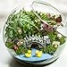 Whonline 150 Pcs Miniature Fairy Garden Decoration with 1pcs Tweezer Tool + 1 Bag of Pins + 1 Hot Glue Stick