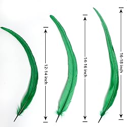 THARAHT 50PCS Rooster Coque Tail Feathers Bulk
