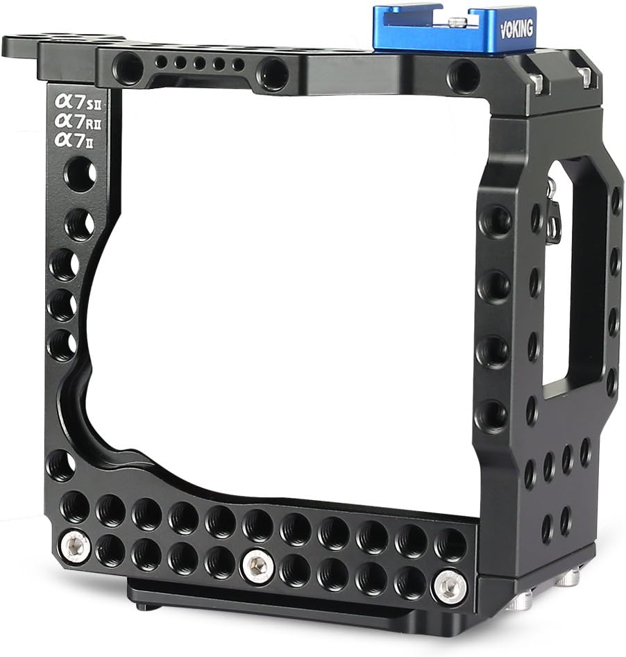 stabilizzatore video per sony