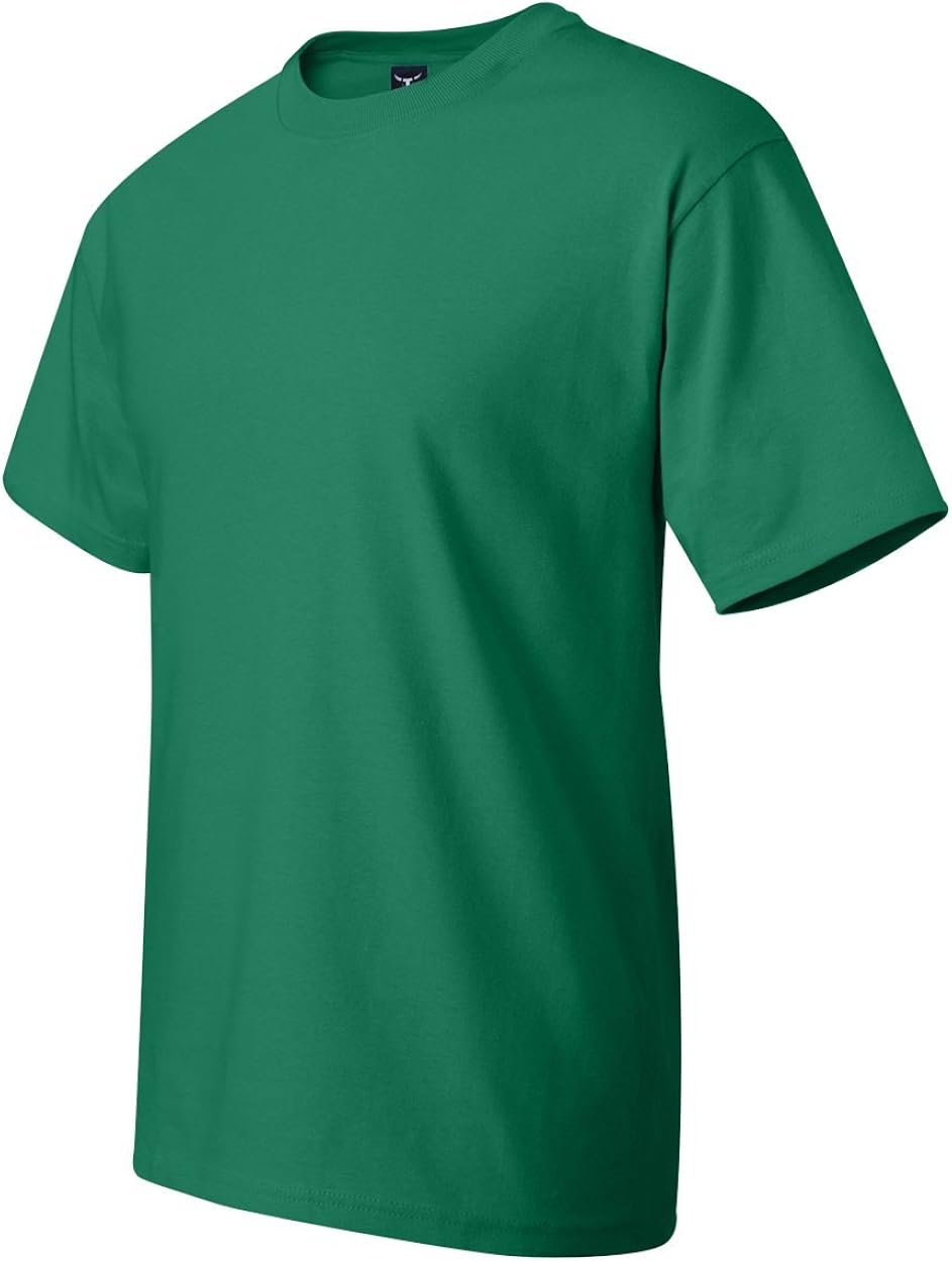 Hanes Men's Short Sleeve Beefy-t | 